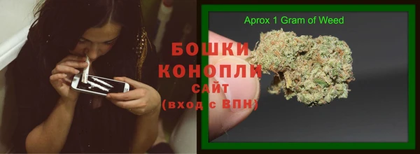ECSTASY Белокуриха
