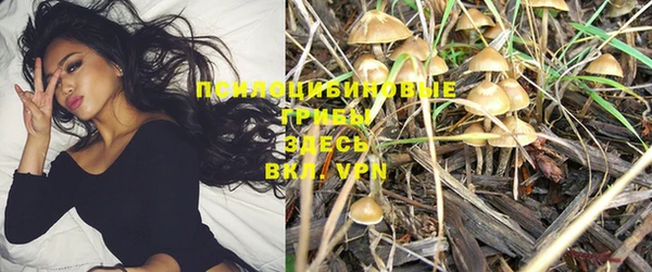 прущие крисы Балахна