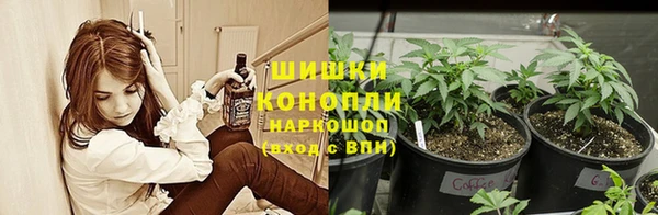 дмт Балабаново