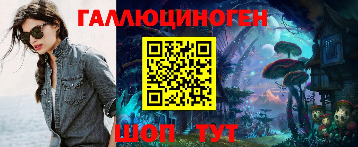 Псилоцибиновые грибы Psilocybine cubensis Коркино