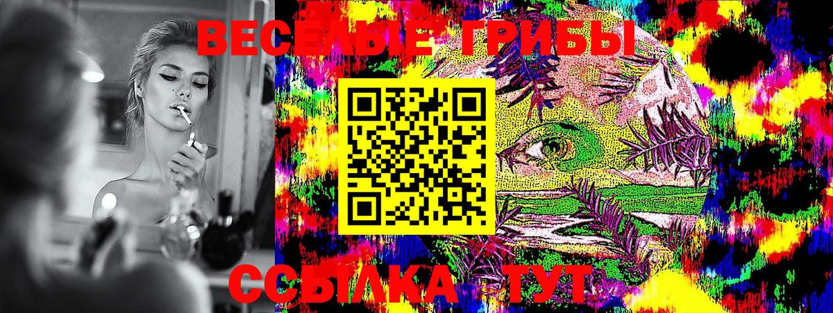 Галлюциногенные грибы Psilocybe  Коркино 