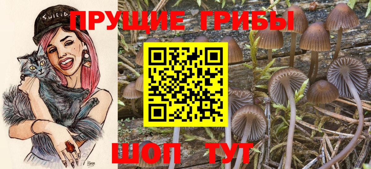 Галлюциногенные грибы мухоморы  Вход с VPN  Коркино  Галлюциногенные грибы MAGIC MUSHROOMS 